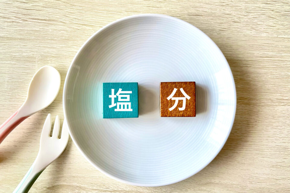 塩分と書かれた積木